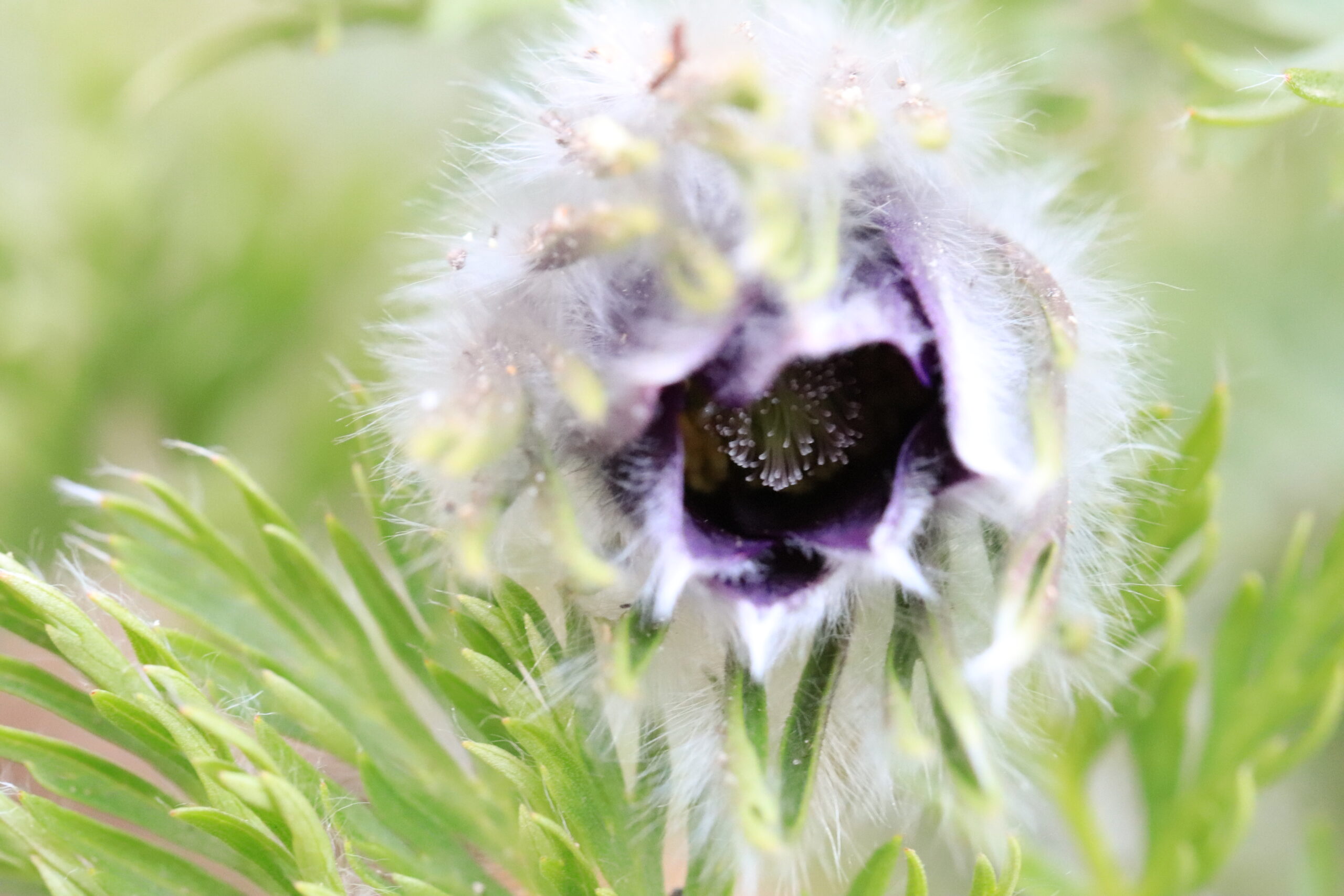 Het onzichtbare zichtbaar maken